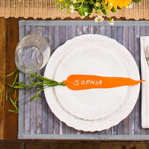 Carrot place setting