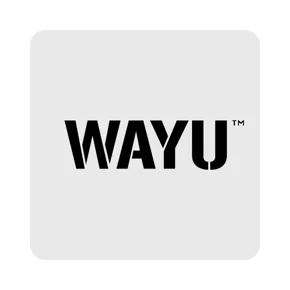 hubspoke_ffpp_wayu