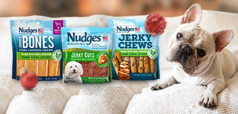 Walmart dog treats online