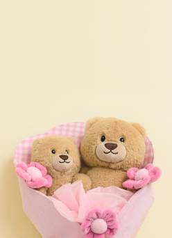 Two plush teddy bears in gift wrap.
