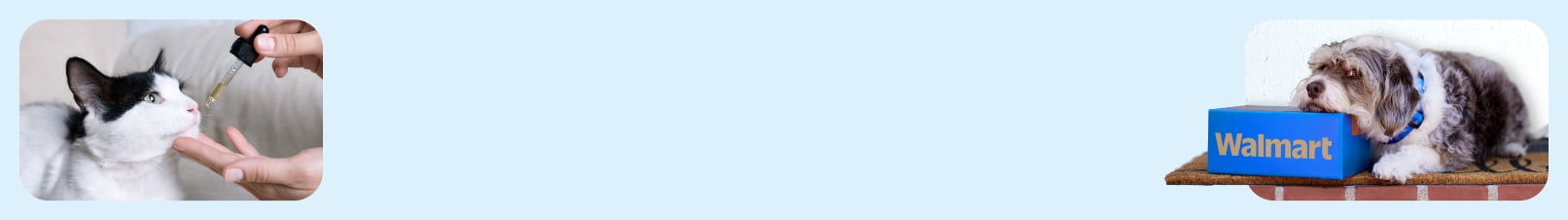 Walmart Pet Pharmacy. Get all their medications delivered. Learn more.