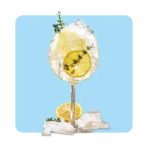Gin Tonic