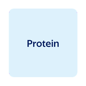 Protein