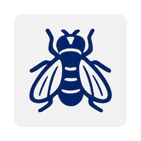 Flies