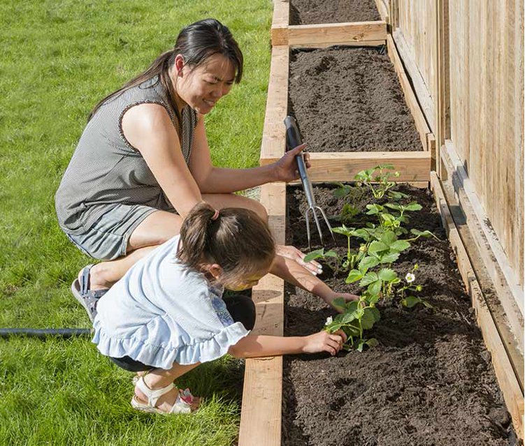 Garden Center Com - Houston Patio And Garden Weekly Ad Garden Center Com - Houston Patio And Garden Weekly Ad