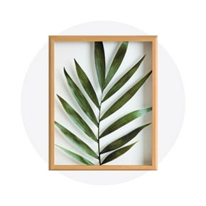 Shop by subject. Botanical wall art.