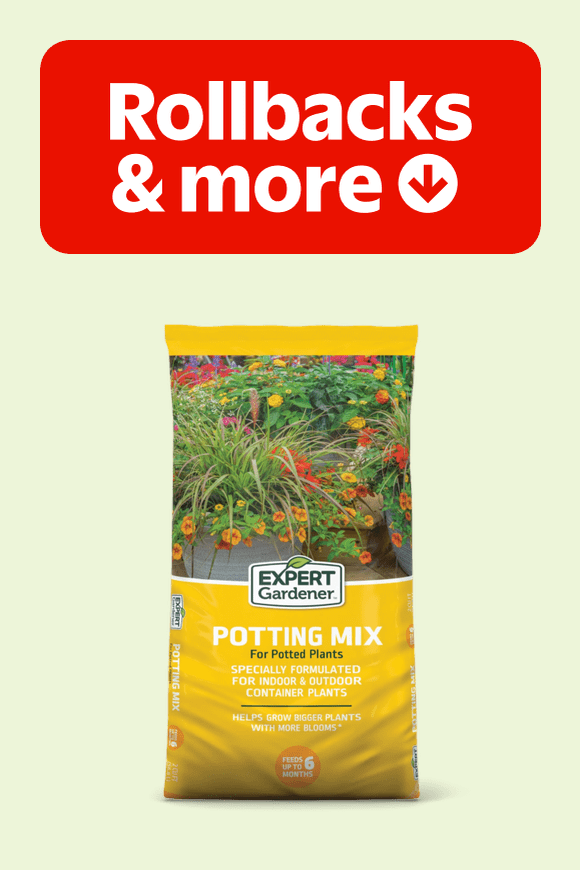 Image shows a yellow bag of Expert Gardener potting mix for potted plants against a light green background.