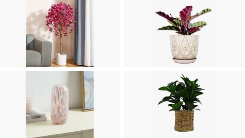 Vases for Your Stems and Planters for Your Plants