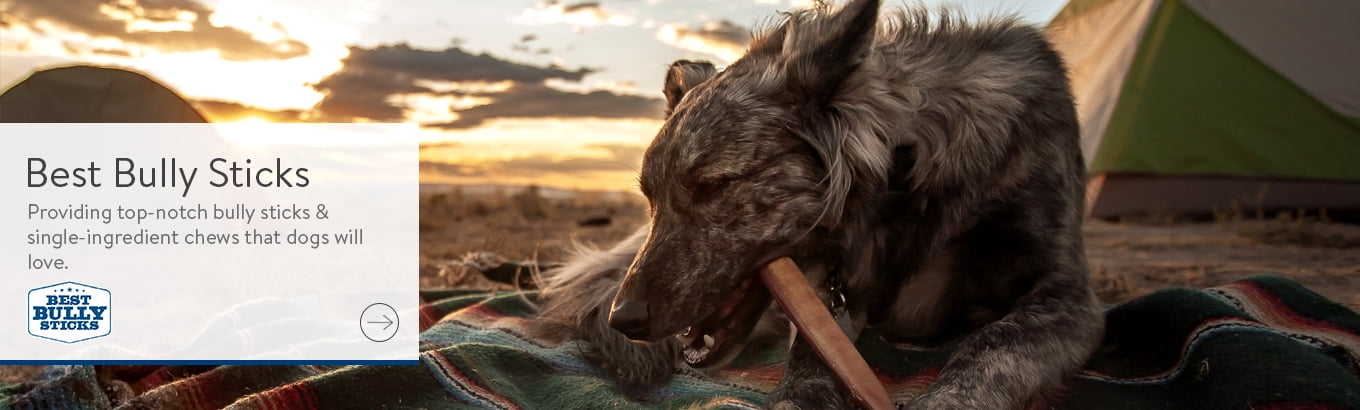 the best bully sticks