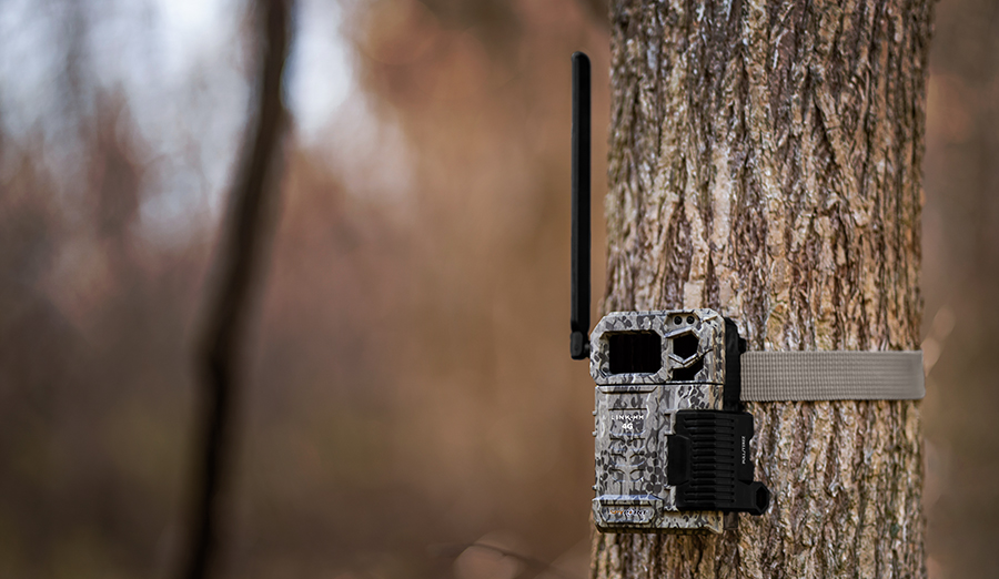 A Game Camera Buying Guide