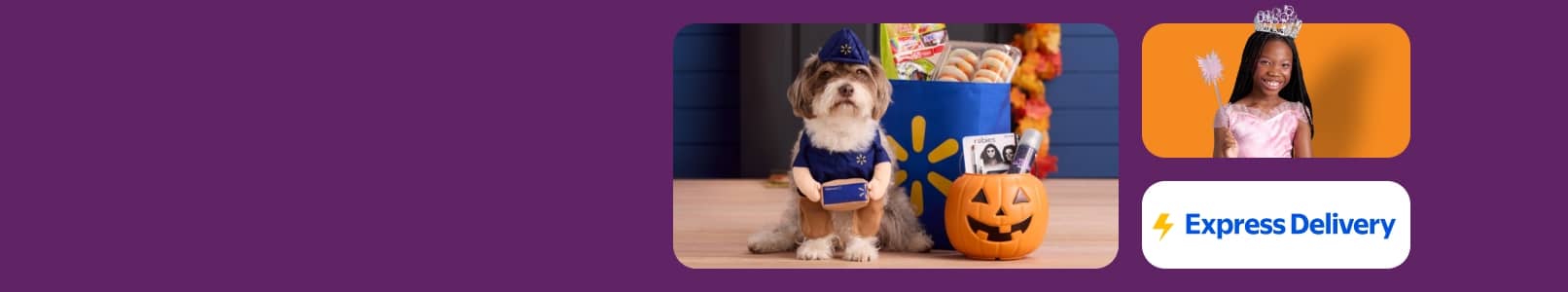 View a dog in a delivery costume, a pumpkin bucket, a Walmart bag with snacks and a young girl dressed as a princess in pink. Express Delivery.