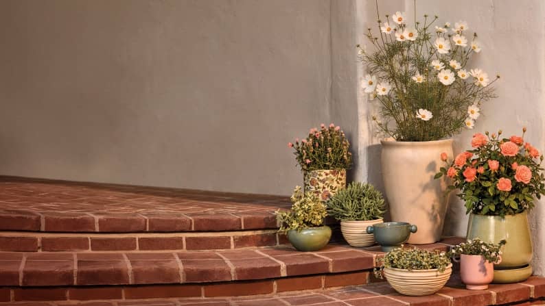 Plants and flowers in decorative planters arranged on brick patio steps.