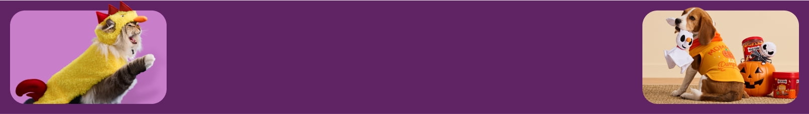 Image shows a cat in a chicken costume and a dog in a pumpkin sweater with a toy in its mouth. Milk Bone treats and a dog toy are also shown.