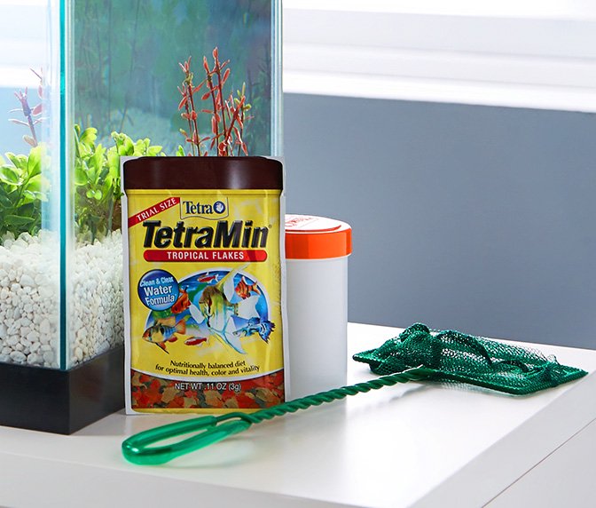 THE BEST 10 Aquarium Services in Jacksonville, FL - Last Updated August 2021 - Yelp