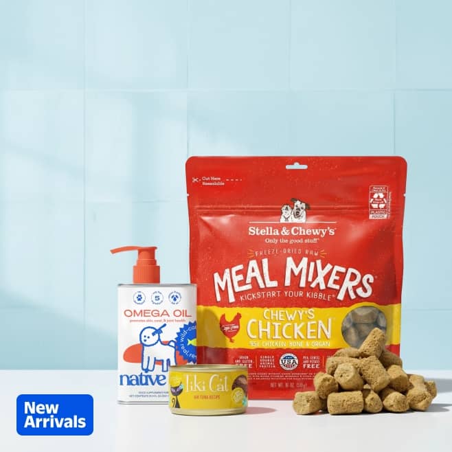 Native Pet Omega Oil and Tiki Cat food