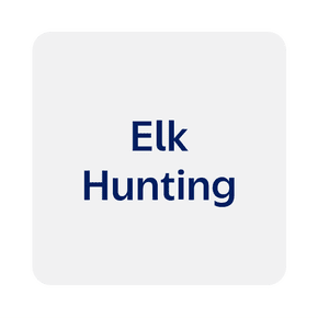 Elk Hunting