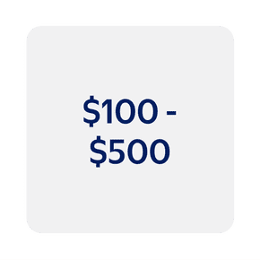$100 - $500