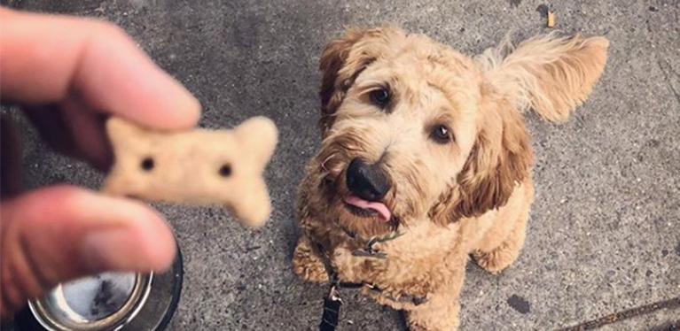 Dog treats by brand - Walmart.com