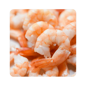 Camarones