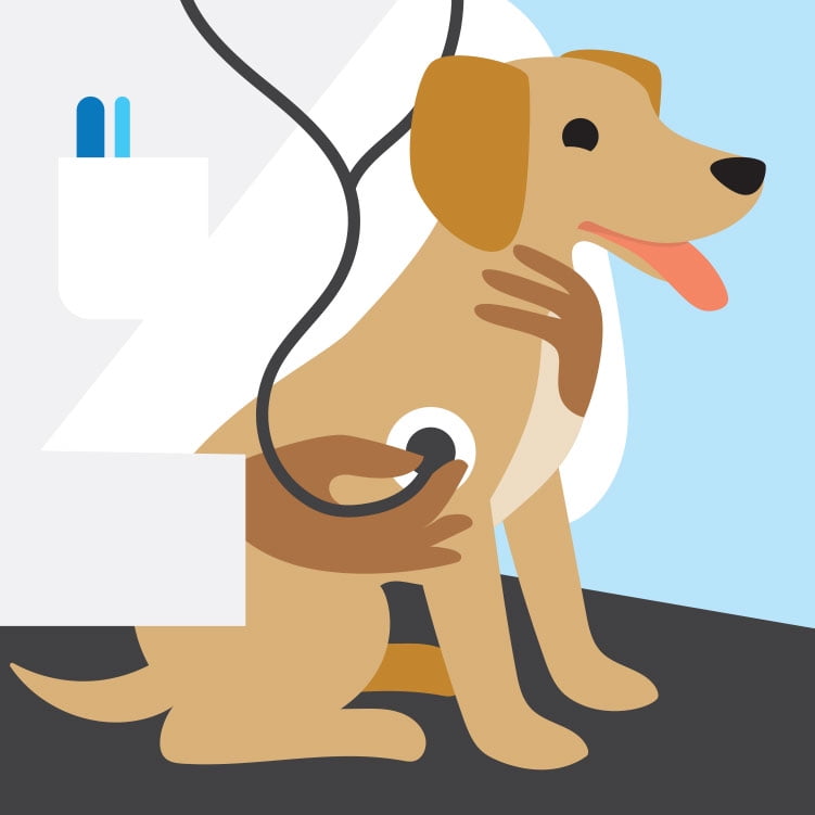 Walmart online pet supplies Clearance