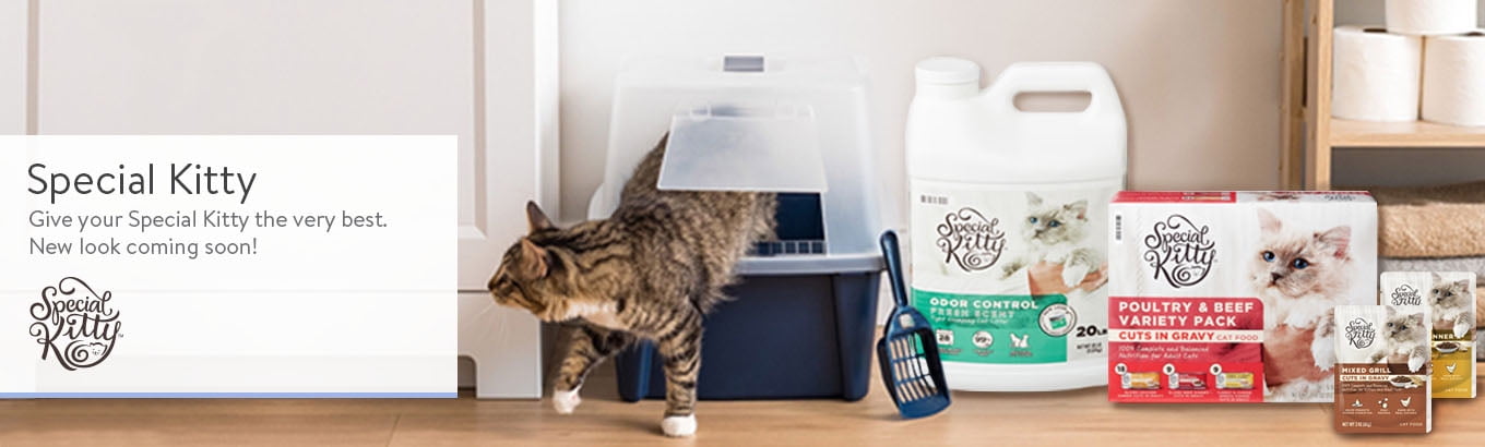 special kitty cat food at walmart