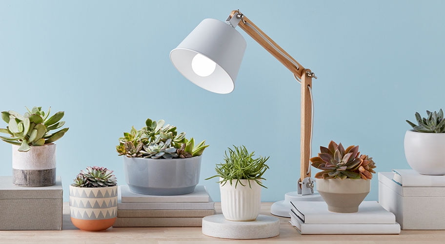 All Light Bulbs By Com
