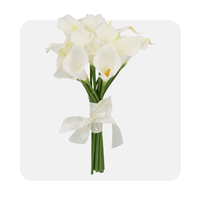 Wedding Party Supplies