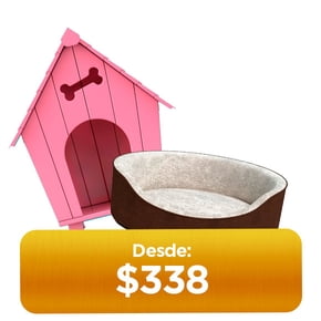 Lo mejor en Accesorios