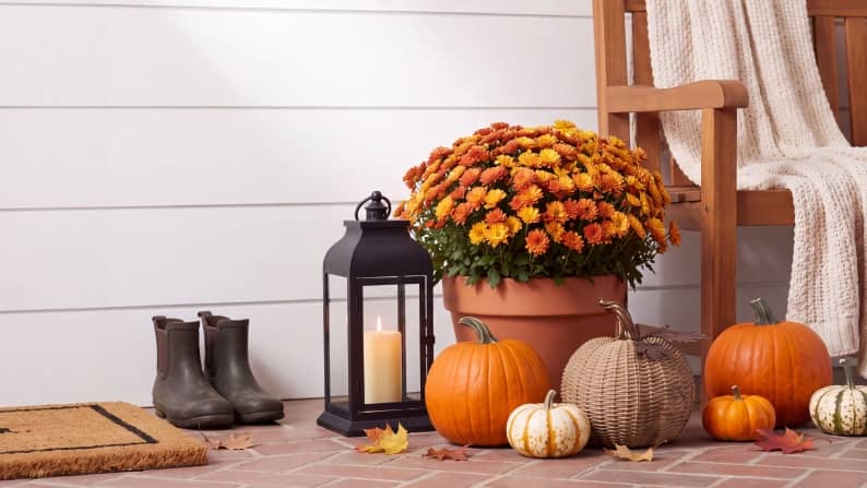 Fall porch decor with orange flowers, pumpkins, lantern with candle, boots and a blanket draped over a wooden chair.