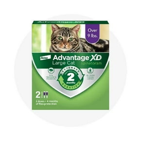 flea and tick