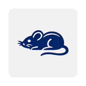 Mice