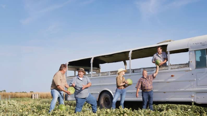Five people are loading watermelons onto an old bus in a field.