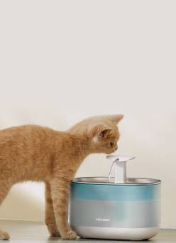 Ginger cat drinking from a Petlibro automatic water fountain.