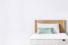 Rafael Sanchez-Guerra Odpa