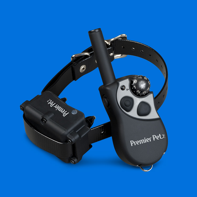 dog shock collar walmart