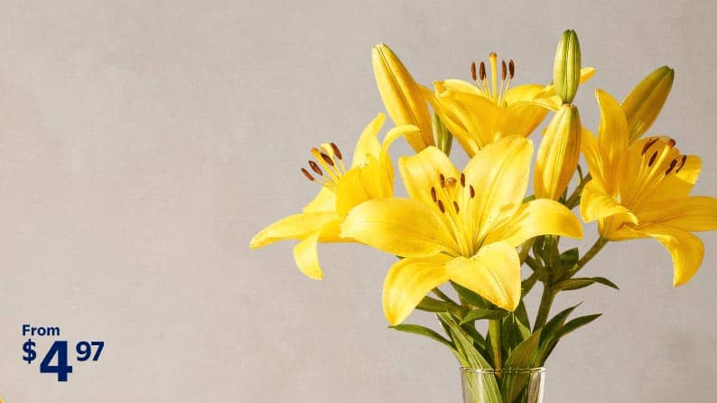 A bouquet of yellow lilies is shown.