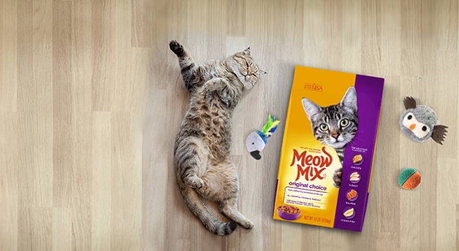 Cat Supplies , Walmart.com