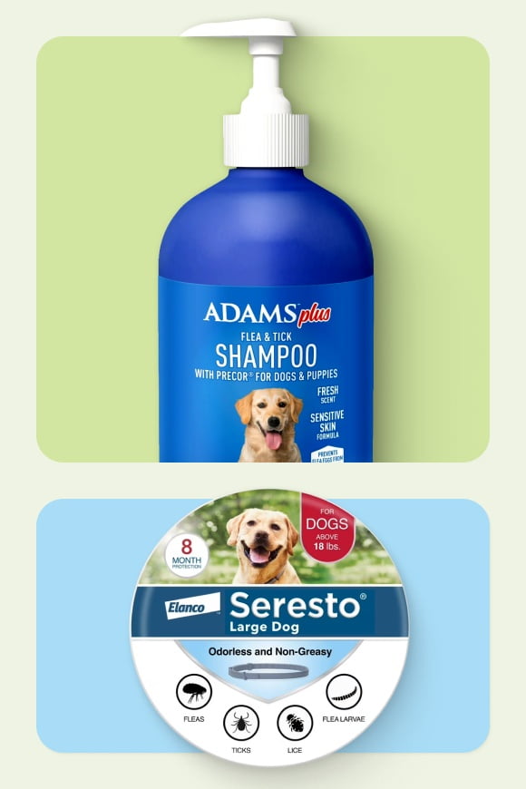 dog flea and tick