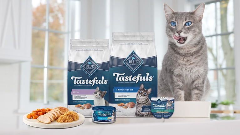 best wet food for cats with diabetes Wet Food for Adult Cats - Diabetes