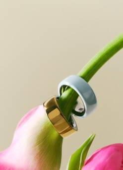 A gold-colored smart ring and blue-colored smart ring looped through a tulip.