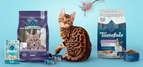 Blue Buffalo Cat Walmart