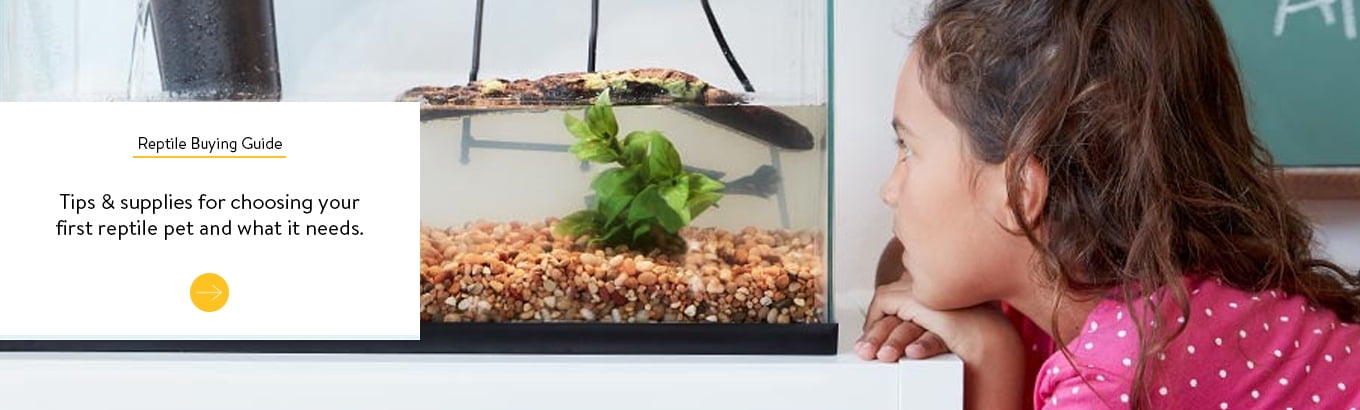 Used reptile supplies Clearance