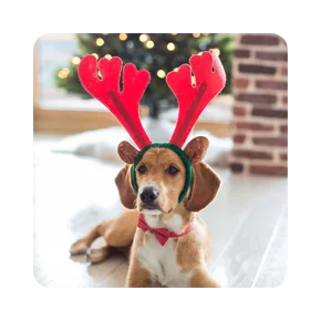 Navidad Mascotas en Lider.cl