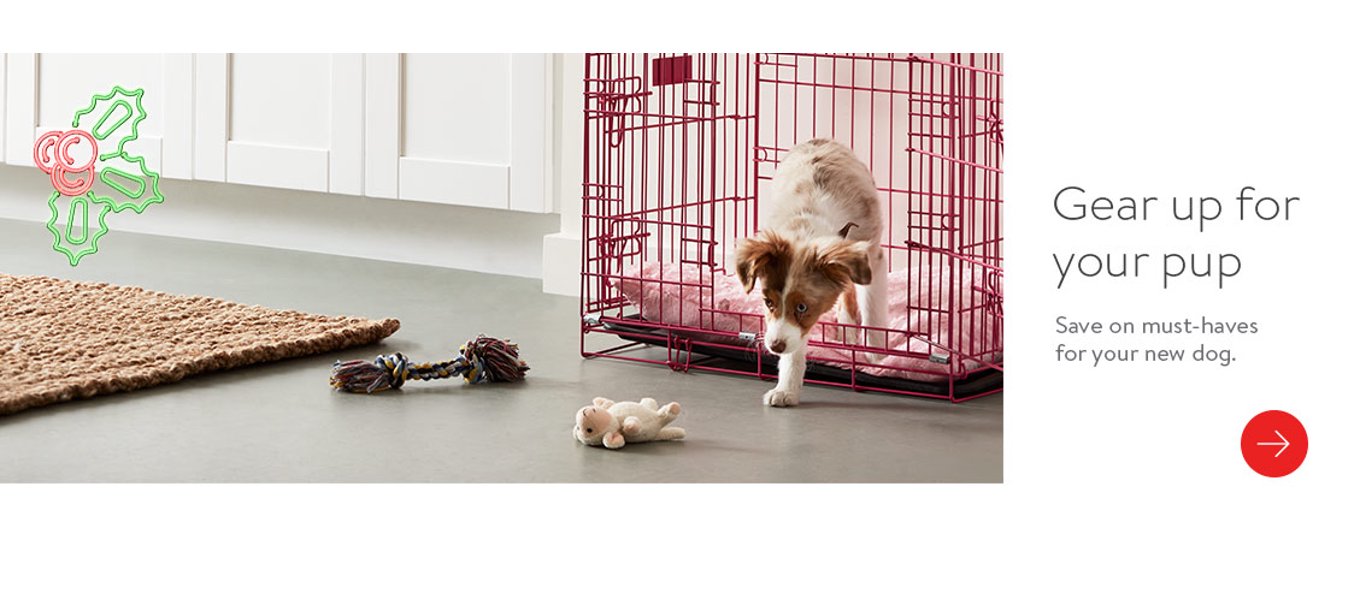 Dogs Save On Must Haves For Your New Dog