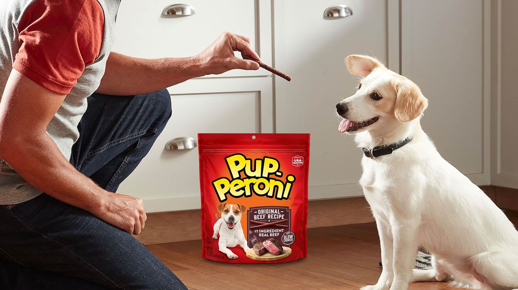 Ready Set Pup - Walmart.com