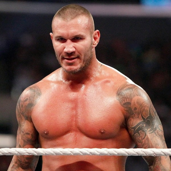 Randy Orton Posters Walmart Com