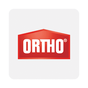 Ortho logo on light gray background