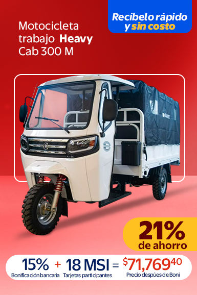 MOTOCICLETA TRABAJO HEAVY CAB 300 M