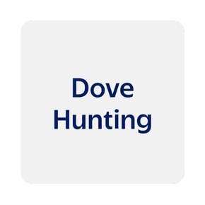 Dove Hunting