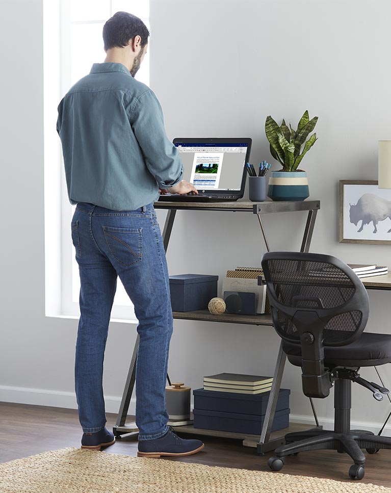 Office Furniture Rising And Standing Desks Ergonomic Chairore